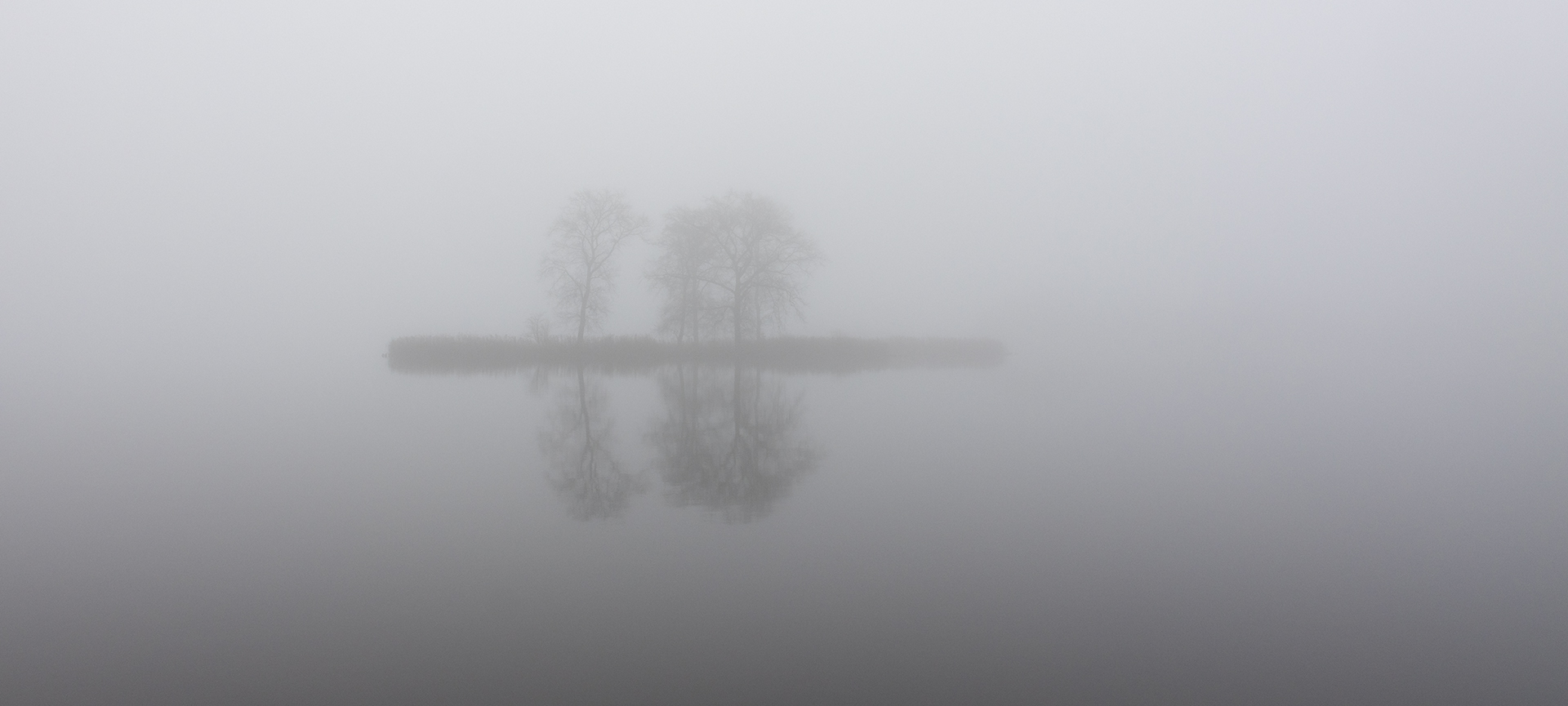 Eilandjes in de mist, reeuwijkse plassen.