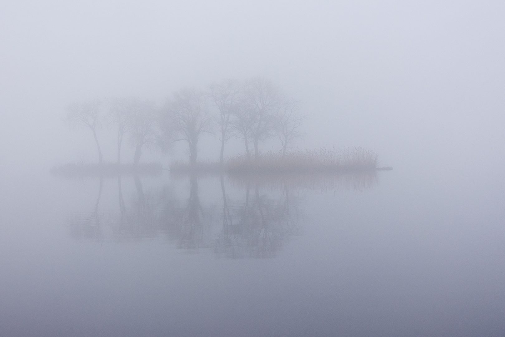 Eilandjes in de mist, reeuwijkse plassen.