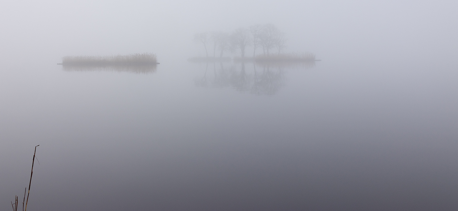 Eilandjes in de mist, reeuwijkse plassen.