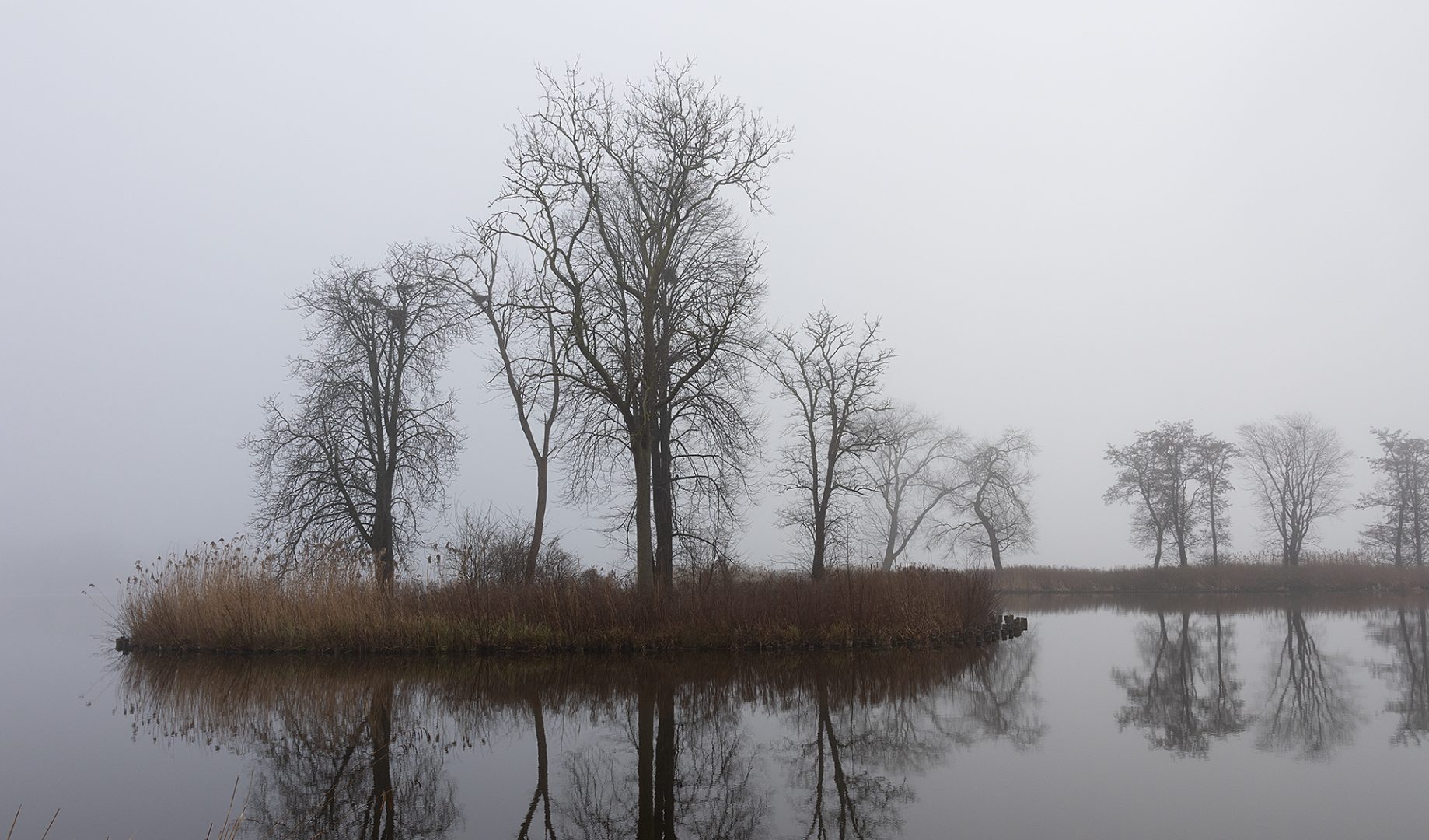 Eilandjes in de mist, reeuwijkse plassen.